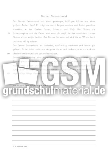 Berner Sennenhund.pdf